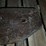 (1)-ford-suitcase-weight-image-4