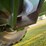 ez-trail-510-image-13