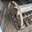 moline-8’-grain-drill-image-15