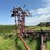 45’-wil-rich-field-cultivator-with-complete-walking-tandems-and-harrows-image-5