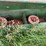 john-deere-baler-image-18