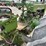 john-deere-gw-image-10