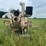 rem-2100-image-8