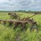ji-case-5-bottom-14"-pull-type-plow-image-4