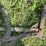 john-deere-disk-plow-image-47