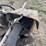 john-deere-semi-mounted-sickle-mower-image-19