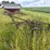 massey-ferguson-14-image-9