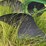 john-deere-14-image-19