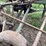 john-deere-semi-mounted-sickle-mower-image-33