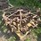 (2)-oliver-skeleton-steel-wheels-image-3