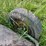 john-deere-mower-image-15