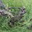 5-bottom-14”-pull-type-plow-image-17