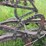 2-bottom-14”-pull-type-plow-image-20