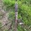 15’-rotary-hoe-image-26