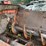 kuhn-knight-8118-image-12