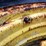 (2)-14.9-36-tires-and-john-deere-wheels-image-13