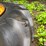 (2)-14.9-36-tires-and-john-deere-wheels-image-7