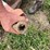 bush-hog-307-image-6