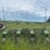 john-deere-1240-image-6