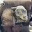 3-5-hp-international-harvester-la-engine-image-5