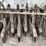 moline-8’-grain-drill-image-48