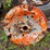 (2)-ji-case-wheels-and-(1)-7.50-24-tire-image-14