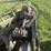 john-deere-disk-plow-image-44