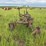 3-bottom-25”-terracing-plow-image-6