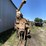 minneapolis-moline-1200-corn-sheller-image-70