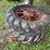 (2)-14-28-firestone-tires-on-cutoff-wheels-image-3