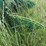 john-deere-14-image-21