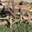 john-deere-corn-binder-image-41