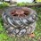 (2)-14-28-firestone-tires-on-cutoff-wheels-image-1