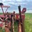 massey-harris-clipper-combine-image-21