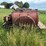 ewc-spray-trailer-image-8
