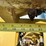 ag-chem-rogator-854-image-79