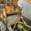 minneapolis-moline-1200-corn-sheller-image-101