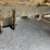 1997-ford-f800-image-37