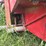 massey-harris-clipper-combine-image-25