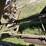 minneapolis-moline-1200-corn-sheller-image-19