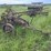 2-bottom-14”-pull-type-plow-image-3
