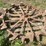 50"-john-deere-skeleton-wheel-image-2