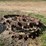 (2)-farmall-f-series-steel-wheels-image-3