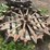 50"-john-deere-skeleton-wheel-image-3