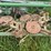 john-deere-1240-image-15