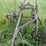 2-bottom-14”-plow-image-29