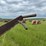 ji-case-5-bottom-14"-pull-type-plow-image-14