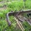 moline-5-bottom-14”-pull-type-plow-image-31