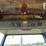 ford-9600-image-31
