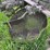 3-bottom-25”-terracing-plow-image-26